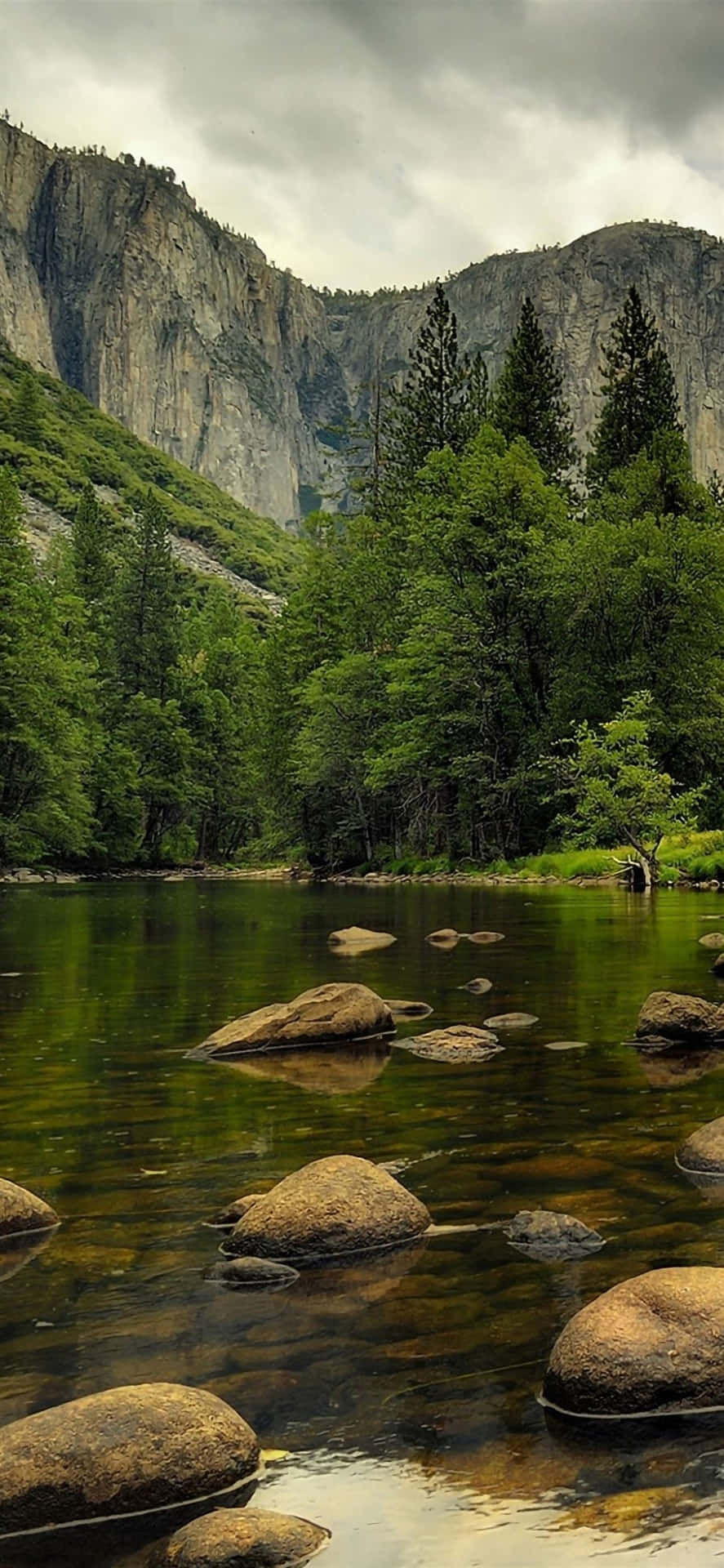 Magnificent Yosemite Portrait Photography Wallpaper