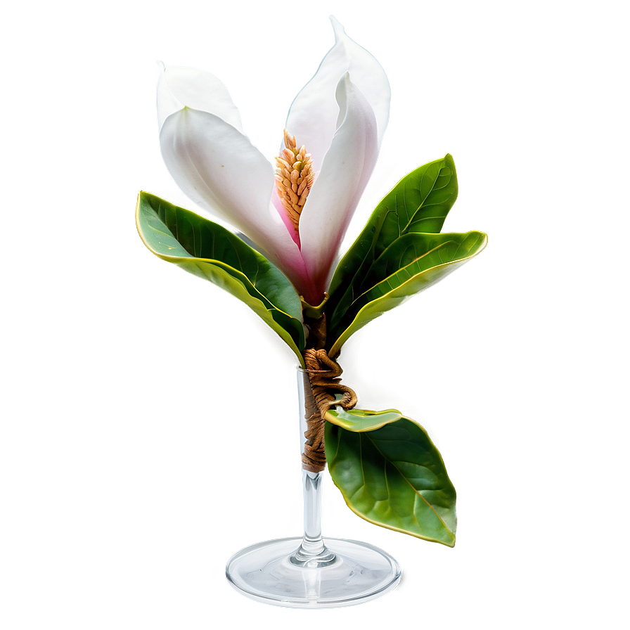 Magnolia Flower In Vase Png Ymn54 PNG