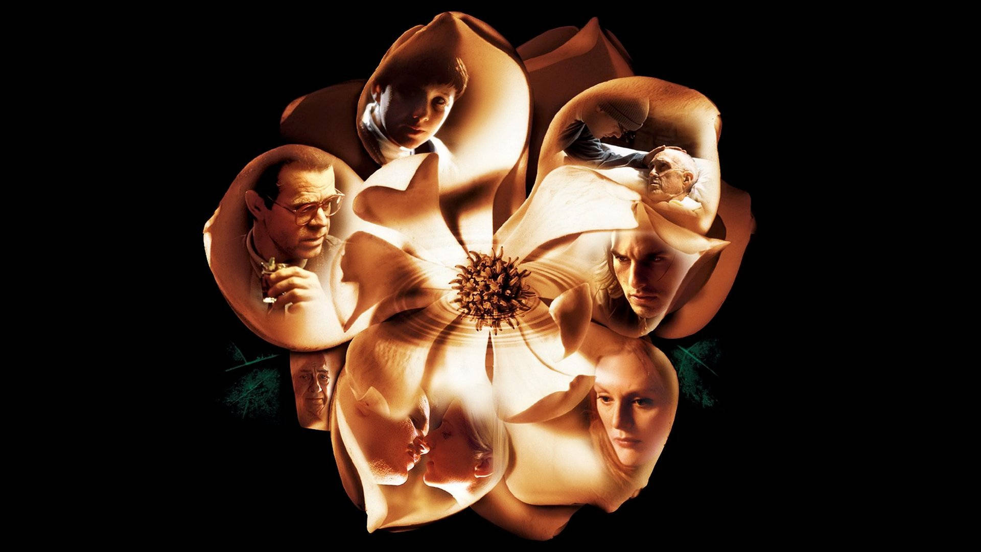 Magnoliafilm Hochauflösendes Poster Wallpaper