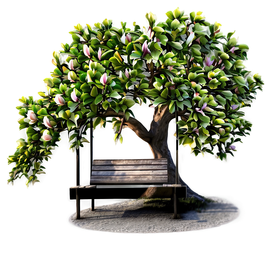 Magnolia Tree With Bench Underneath Png Ewu PNG