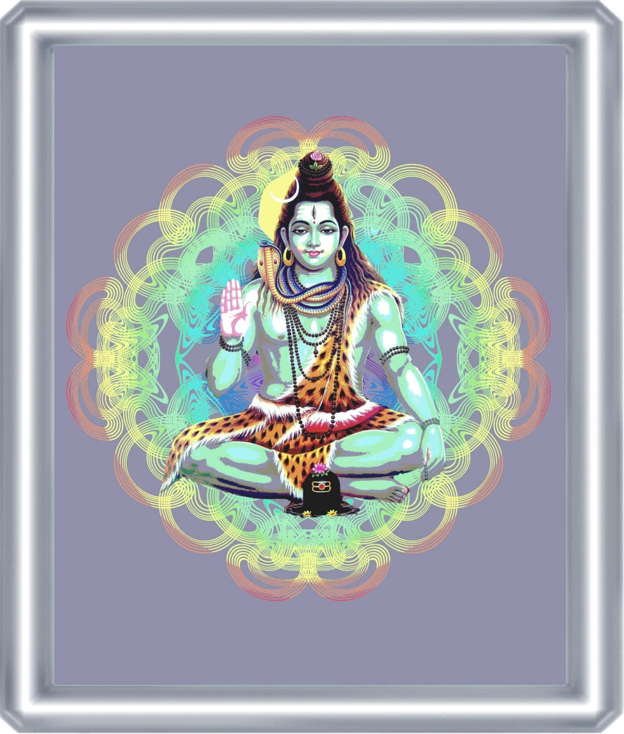 Lord Shiva - The Supreme Roamer
