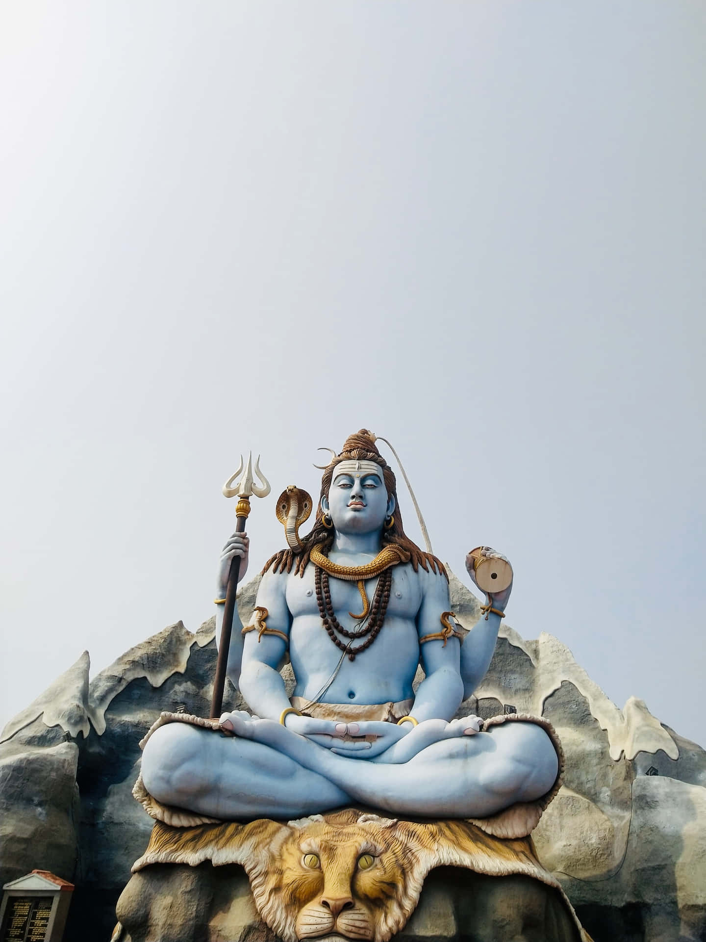 Adoring Lord Shiva, the Supreme being
