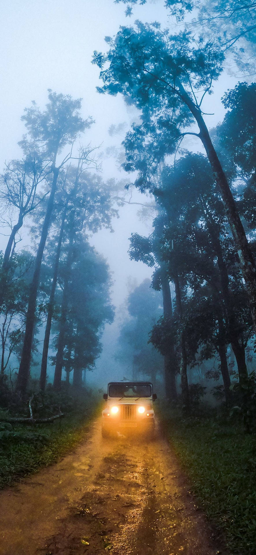 Mahindra Thar 2021 Foggy Forest Wallpaper