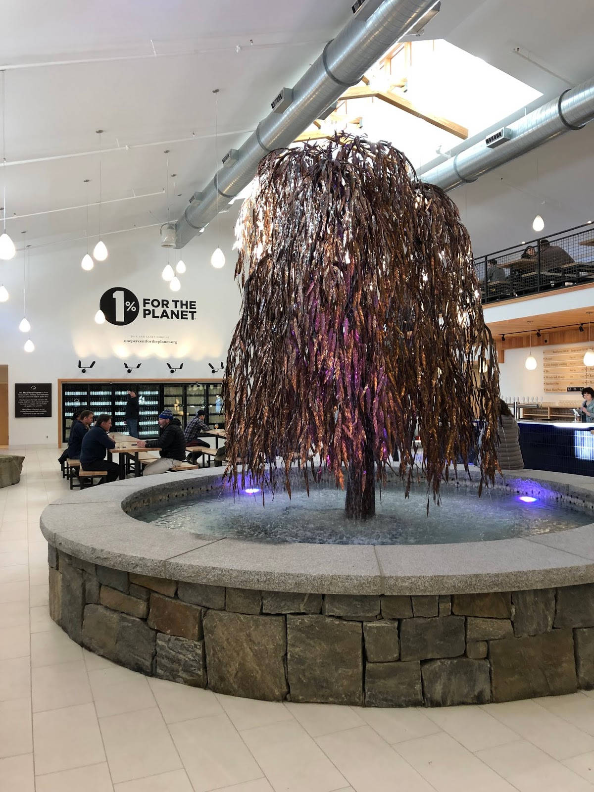 Maine Beer Company Water Fountain Tree Wallpaper