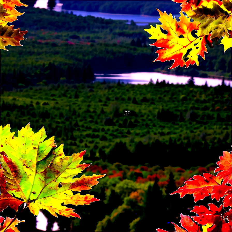 Maine Fall Foliage Splendor Png Tds74 PNG