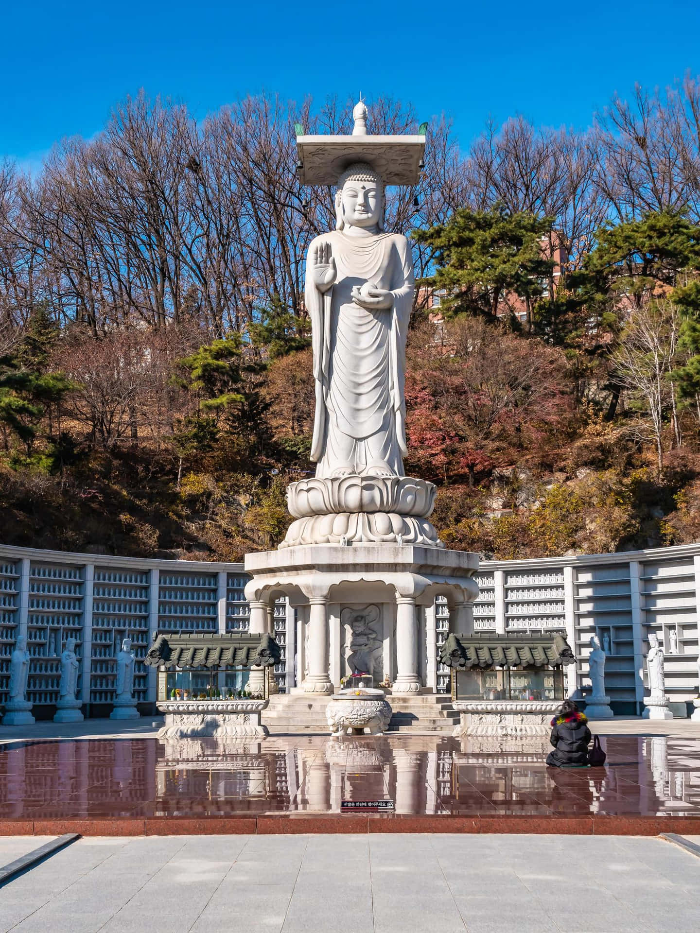 Maitreya_ Buddha_ Bongeunsa_ Temple Wallpaper