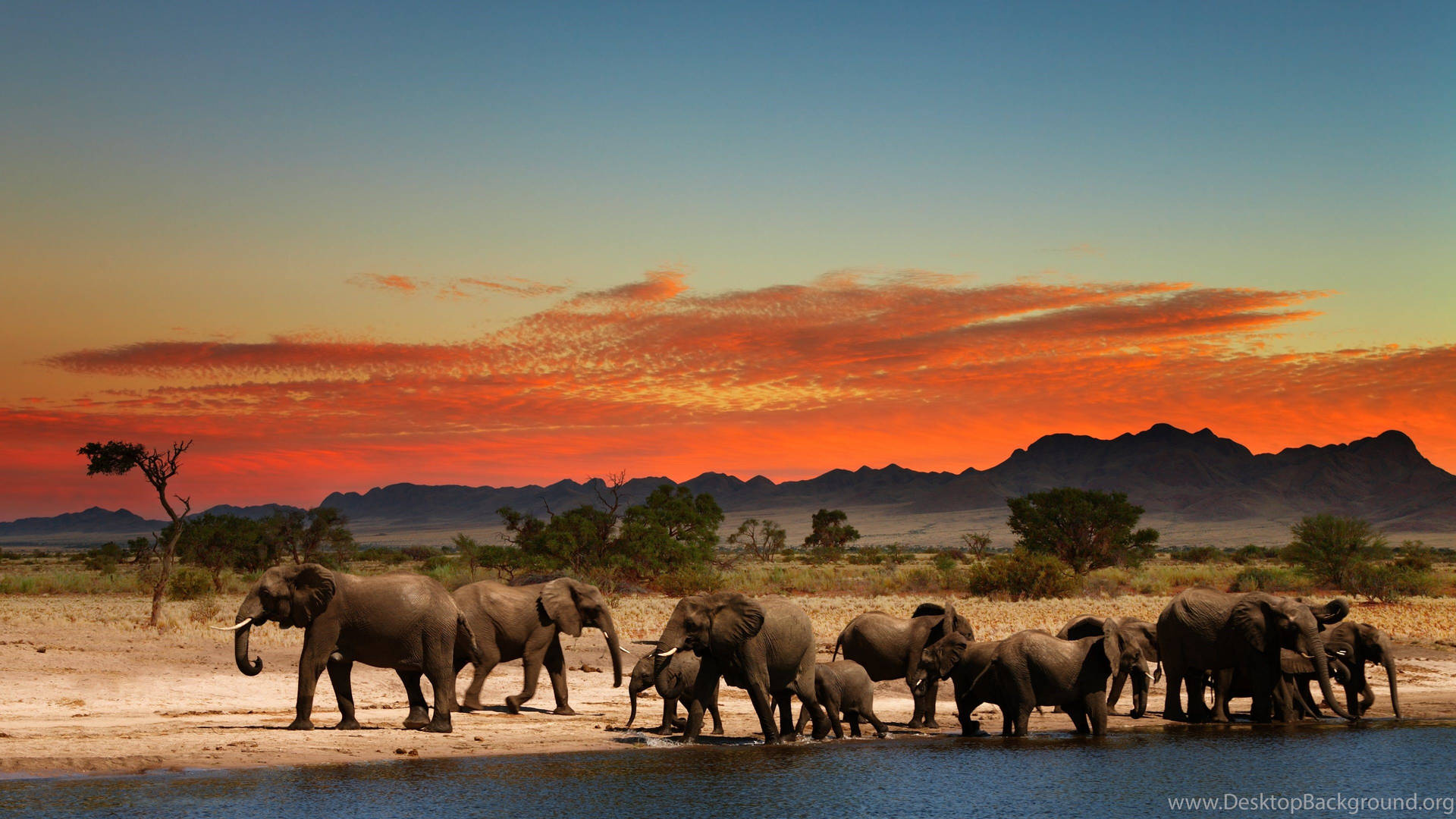 Majestic African Sunset Wallpaper
