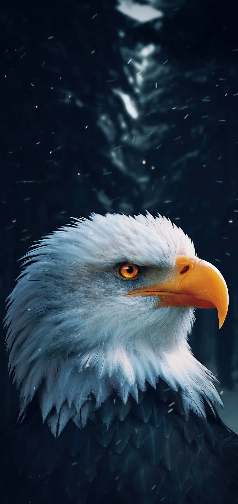 Majestic Bald Eagle Portrait Wallpaper