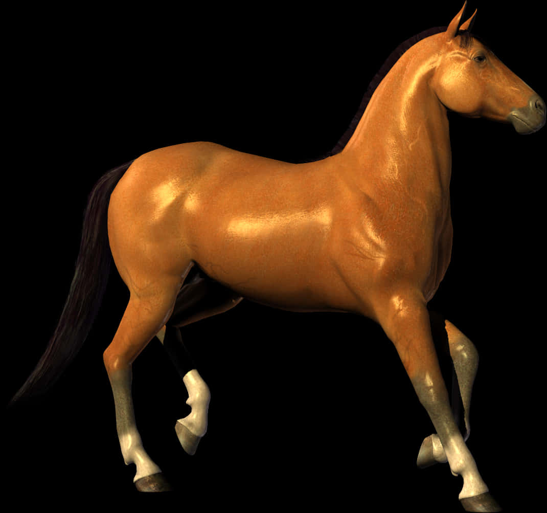 Majestic Bay Horse Black Background PNG