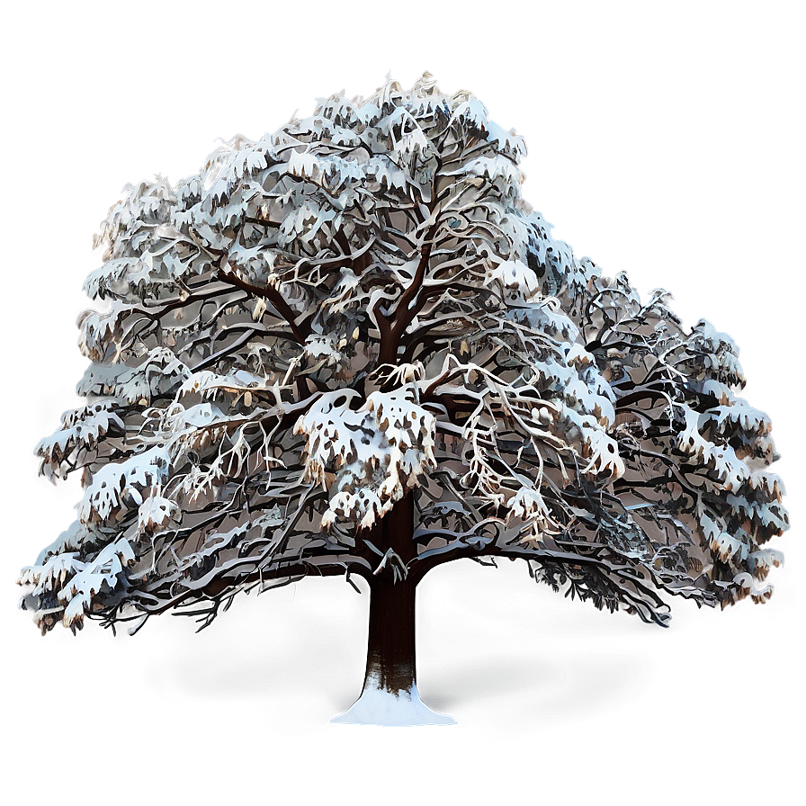 Majestic Big Tree In Snow Png Bji PNG