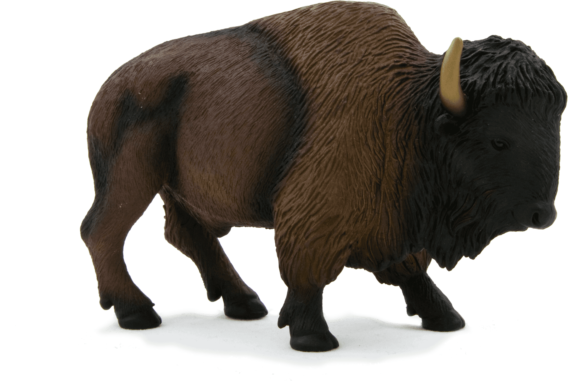 Majestic Bison Isolated PNG
