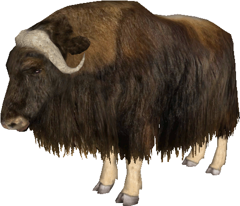 Majestic Bison Isolated.png PNG