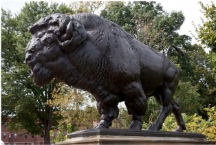 Majestic Bison Statue PNG