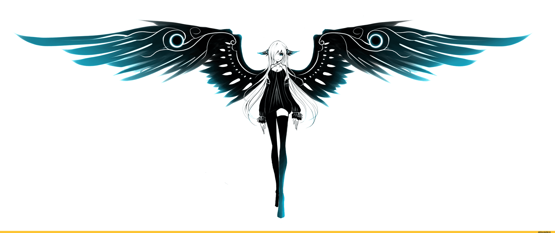 Majestic Black Angel Wings On A Lavish Dark Background