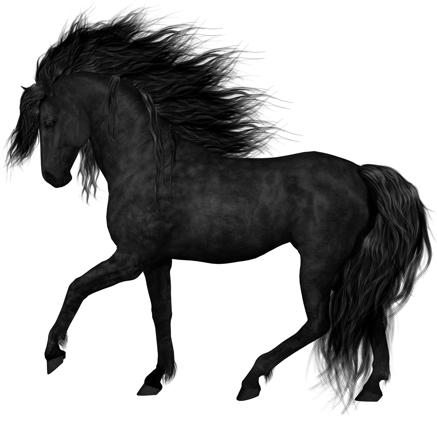 Majestic Black Horse Galloping PNG