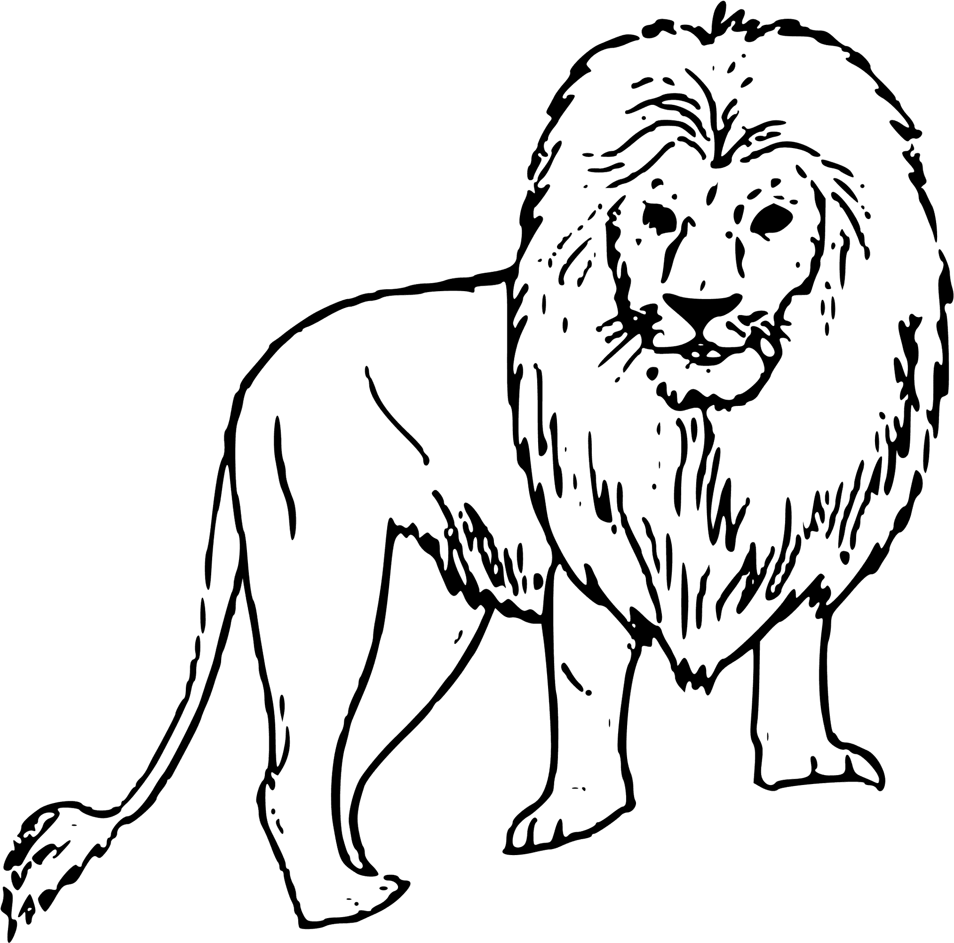Majestic Black Lion Illustration PNG