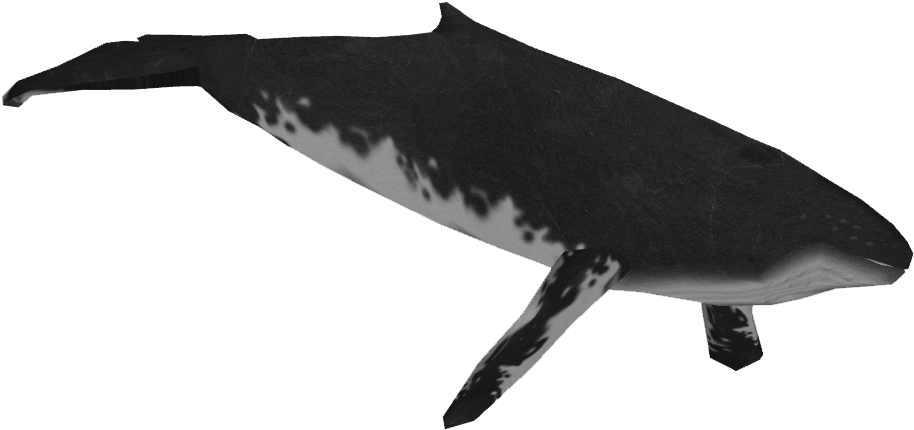 Majestic Black Whale Illustration PNG