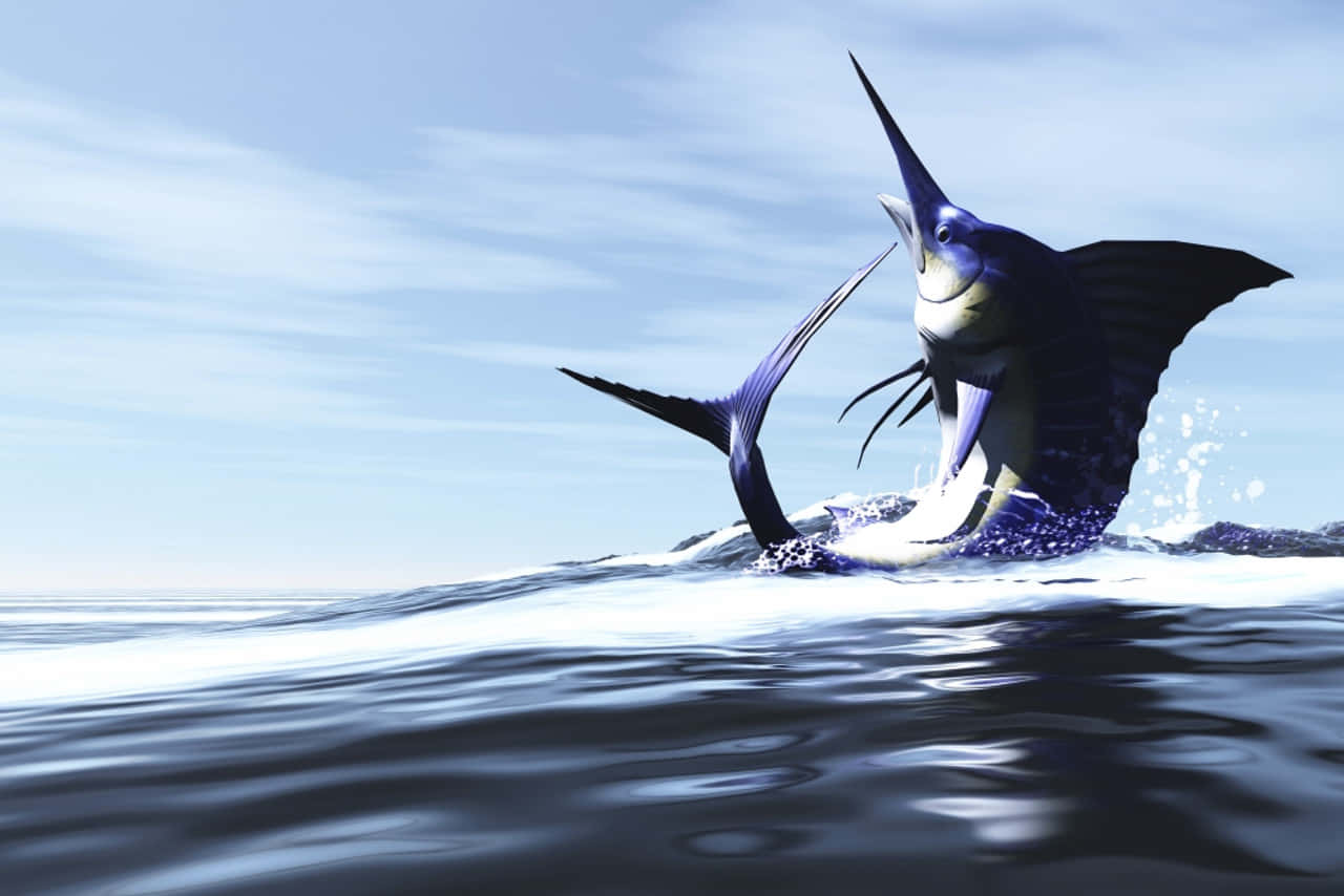 Majestic Blue Marlin Leaping Wallpaper