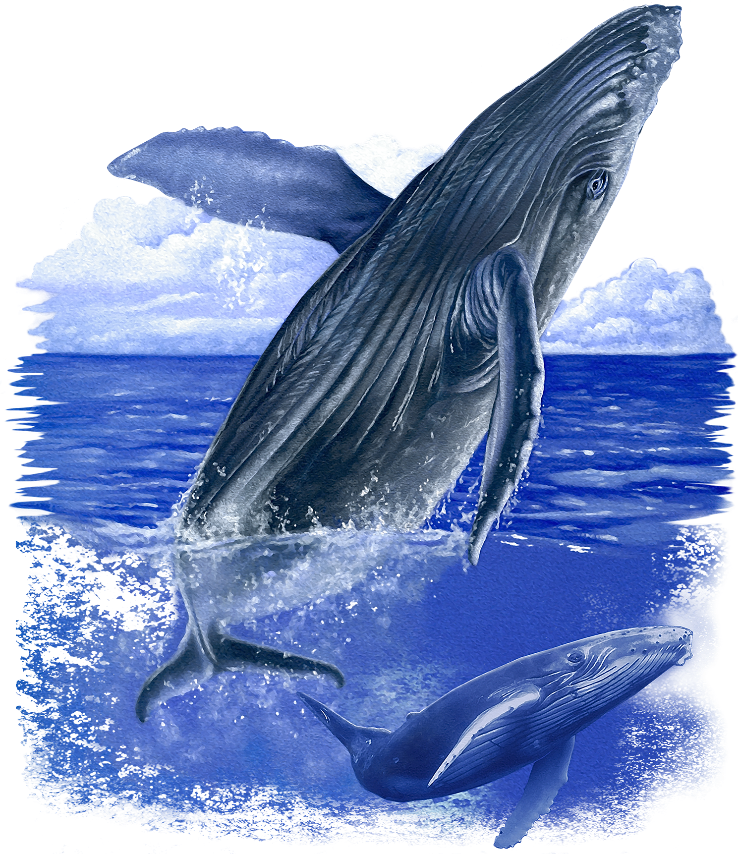 Majestic Blue Whales Ocean PNG