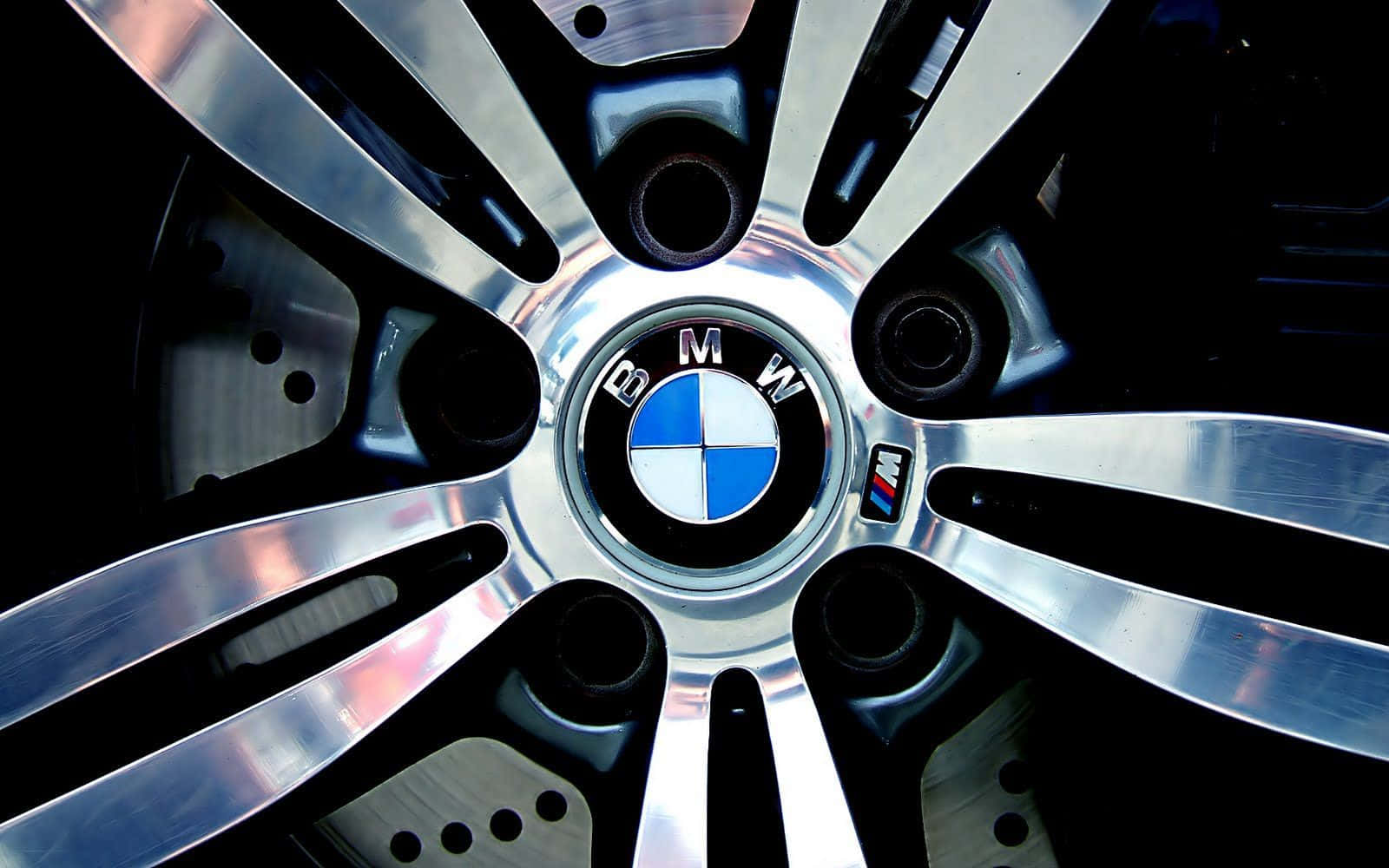 Majestic Bmw Logo On Glossy Surface Wallpaper