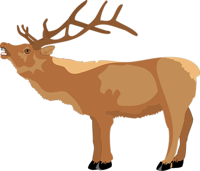 Majestic Brown Deer Illustration PNG