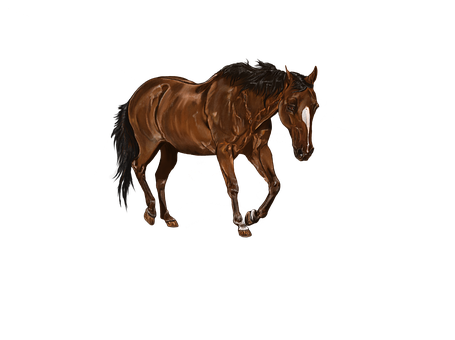 Majestic Brown Horse Artwork PNG