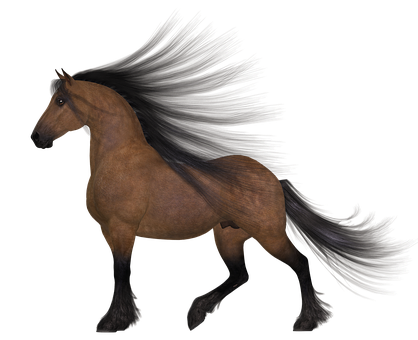 Majestic Brown Horse Black Background PNG