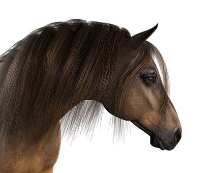 Majestic Brown Horse Portrait PNG