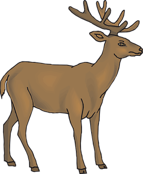 Majestic Brown Stag Illustration PNG