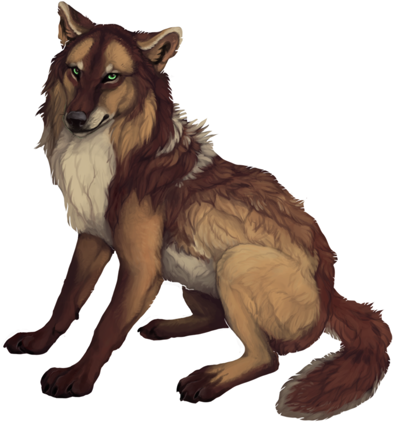 Majestic Brown Wolf Illustration PNG