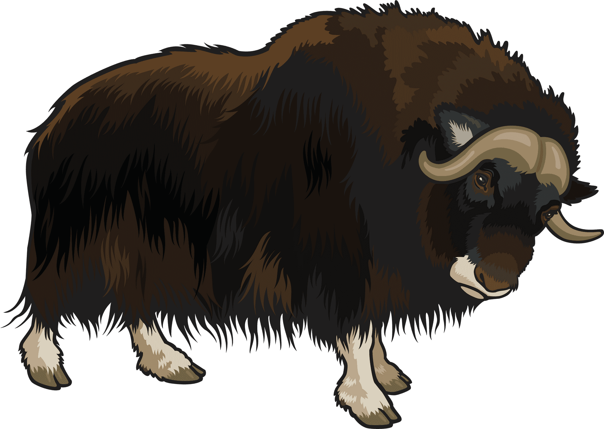 Download Majestic Buffalo Illustration | Wallpapers.com