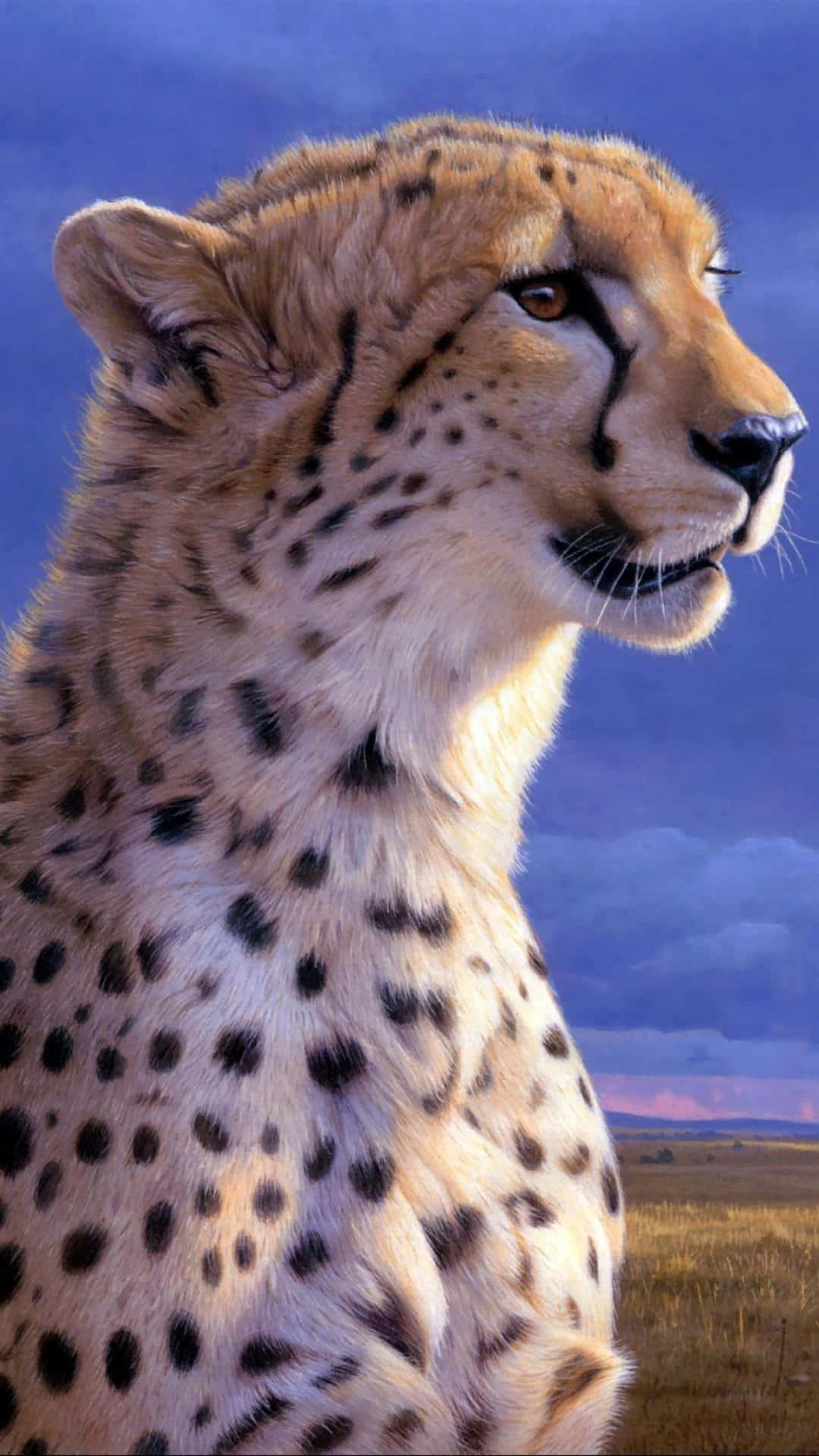 Majestic Cheetah In Its Natural Habitat