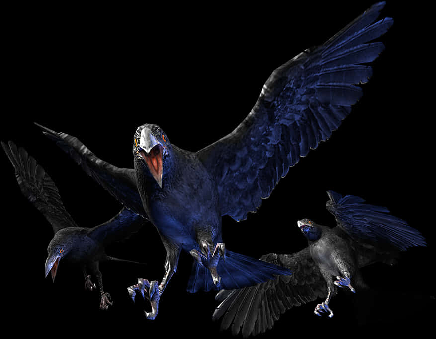 Majestic Crowsin Flight PNG