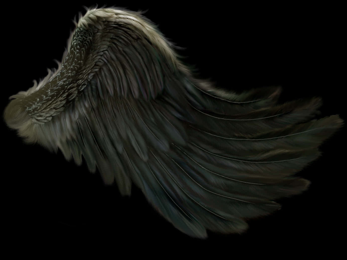 Majestic Dark Wing Spread PNG