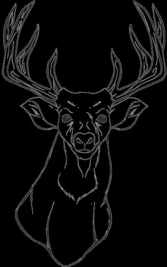 Majestic Deer Sketch Art PNG