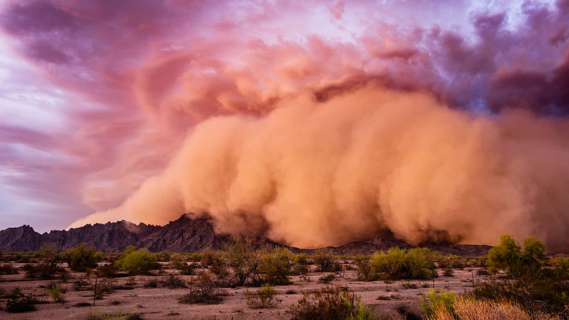 Majestic_ Dust_ Storm_ Approaching_ Desert Wallpaper