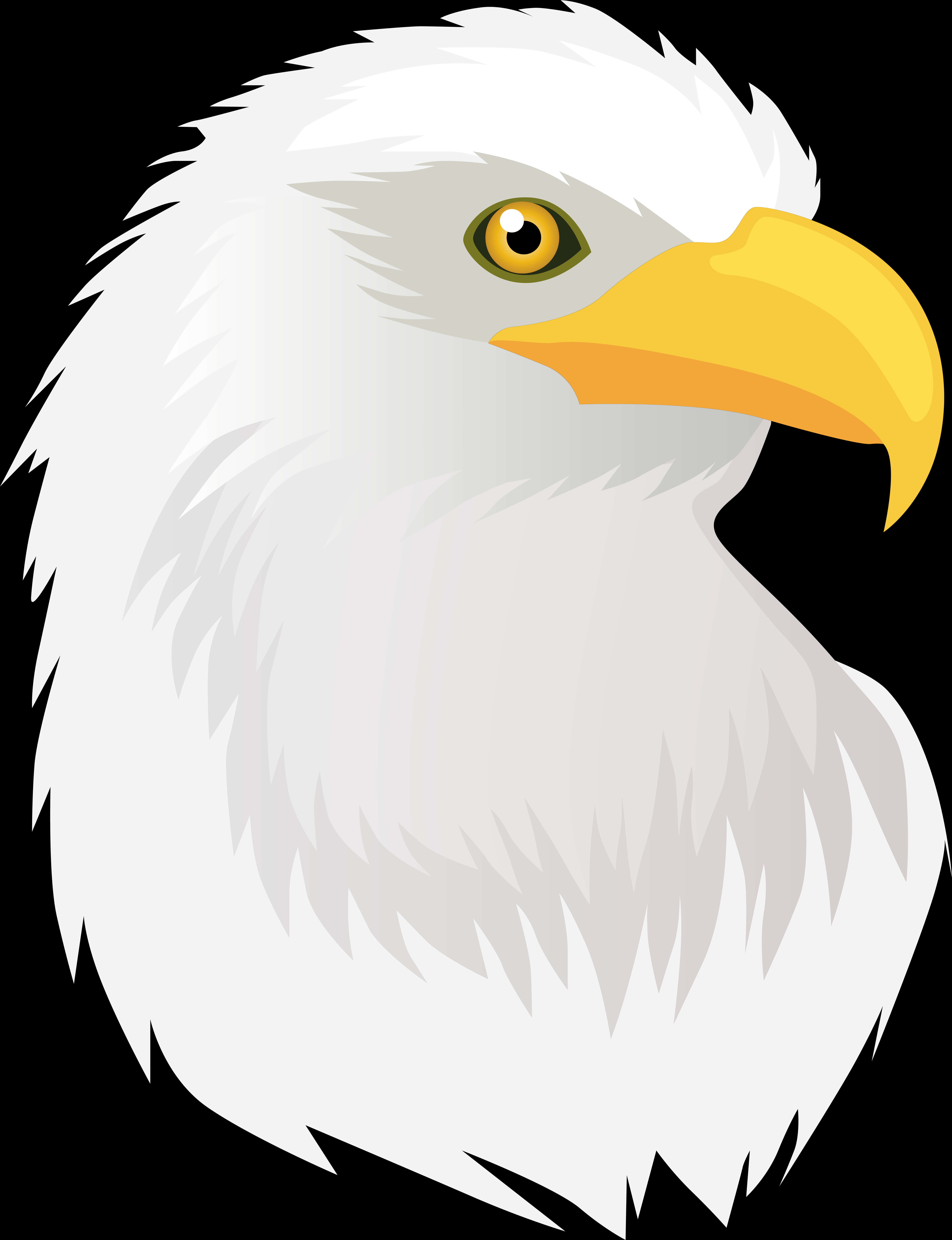 Majestic Eagle Head Vector PNG