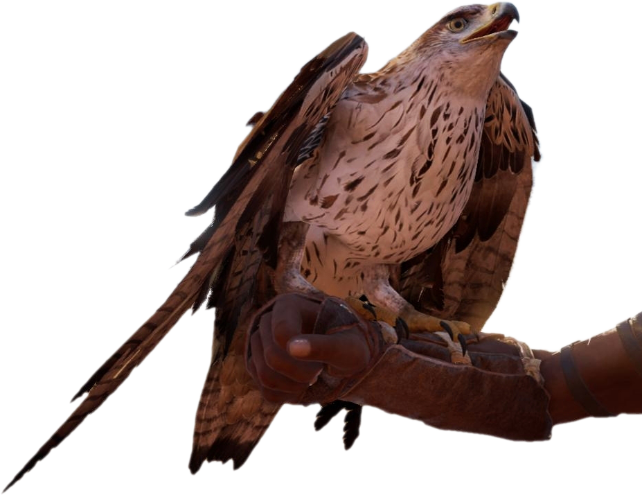 Majestic Eagle Perchedon Glove PNG