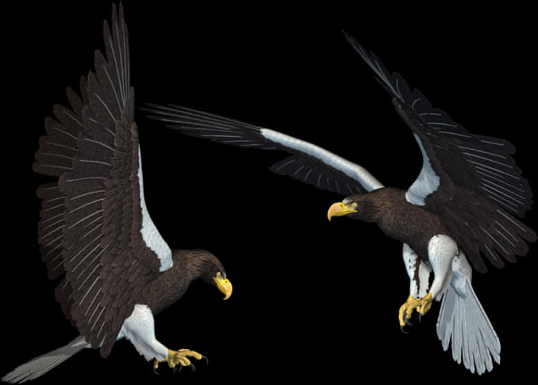 Majestic Eaglesin Flight PNG