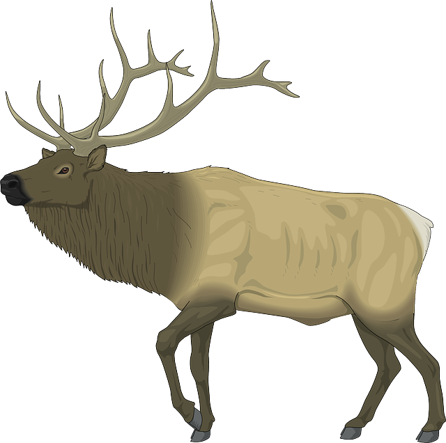Majestic Elk Illustration PNG
