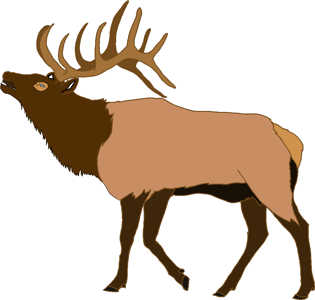 Majestic Elk Illustration PNG