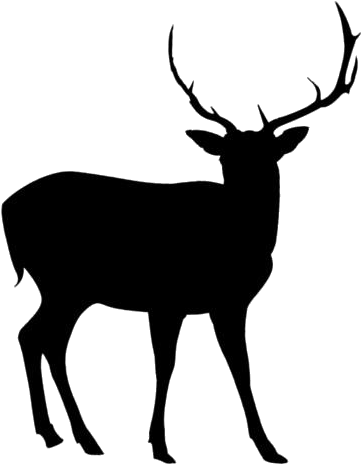 Majestic Elk Silhouette PNG