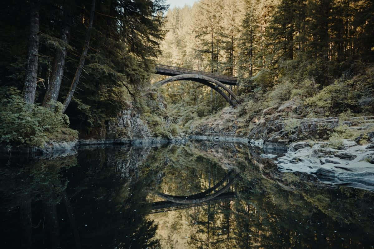 Majestic Fall Bridge Over Serene River Wallpaper