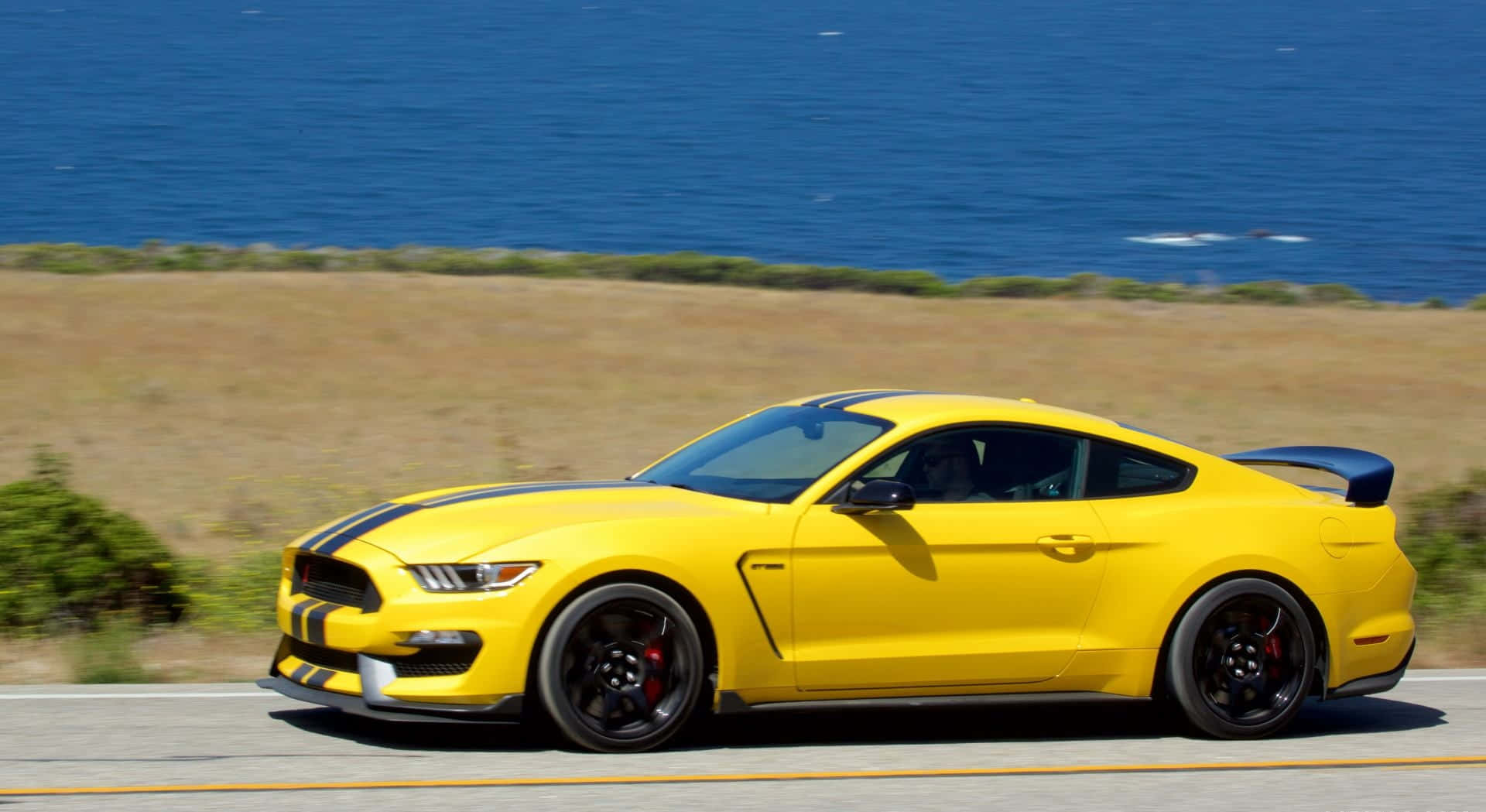 Majestic Ford Mustang Gt350r On Open Road Wallpaper