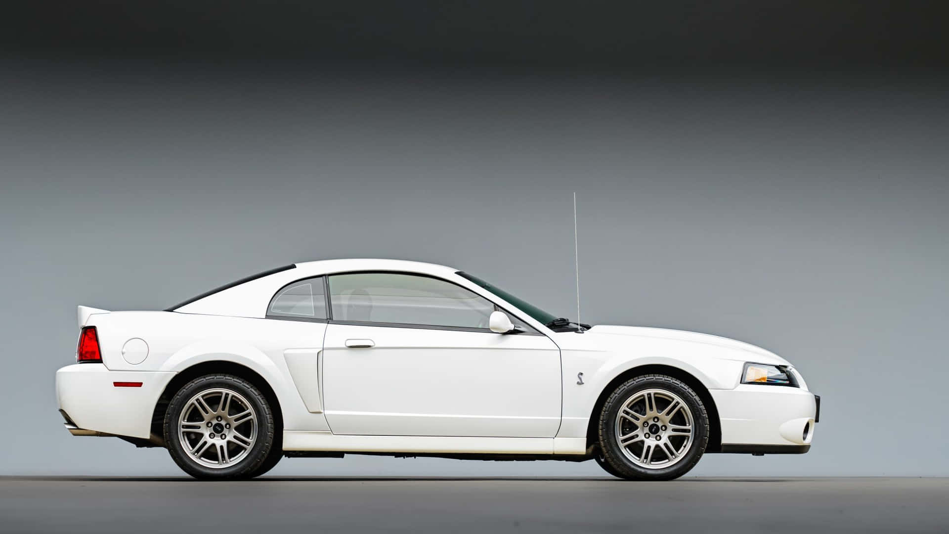 Majestic Ford Mustang Svt Cobra In High Definition Wallpaper