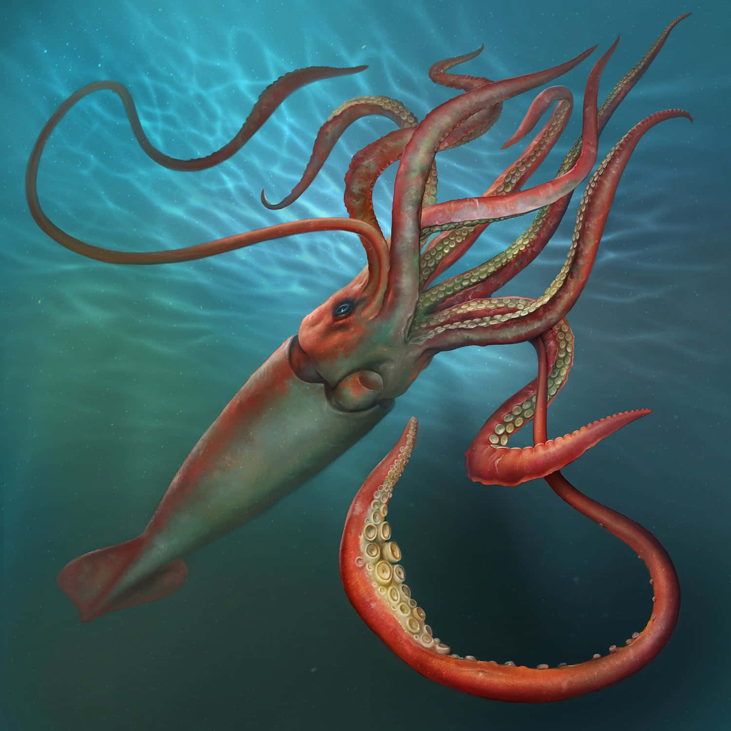 Majestic Giant Squid In Its Natural Habitat Wallpaper