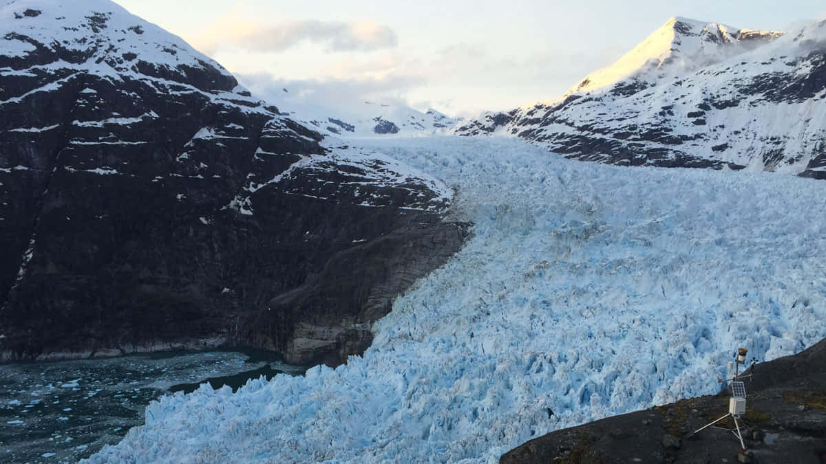 Majestic Glacier Flowing Into Sea Wallpaper
