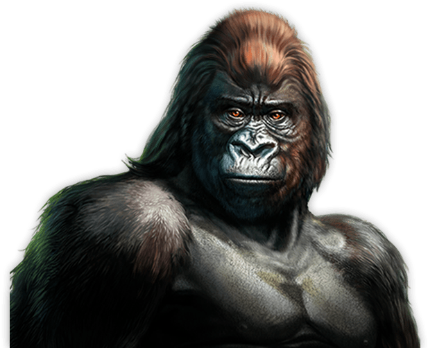 Majestic Gorilla Portrait PNG