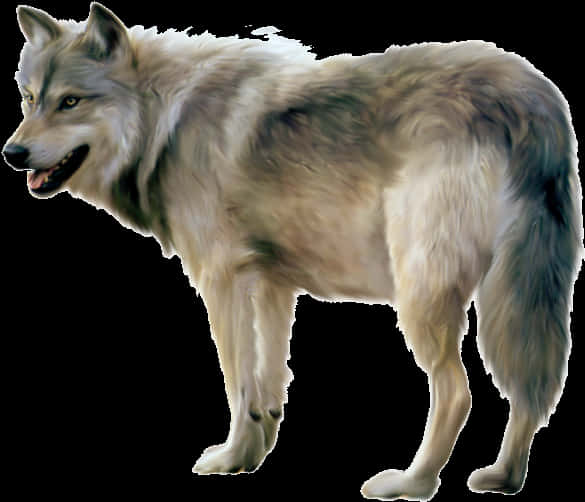 Majestic Gray Wolf Profile PNG