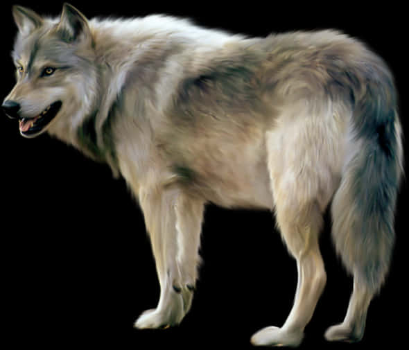 Majestic Gray Wolf PNG